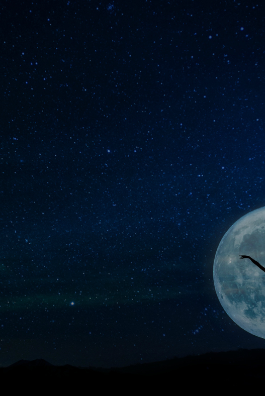 What Our Mission Statement Means To Us