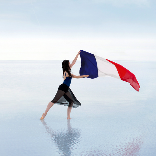 Parlez-vous français? Why is Ballet in French?