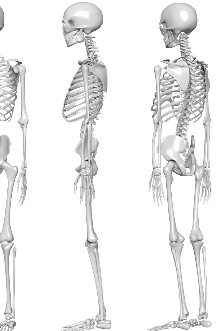 The Solid Foundation: Ballet's Impact on Bone Strength and Osteoporosis Prevention