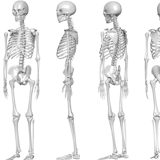 The Solid Foundation: Ballet's Impact on Bone Strength and Osteoporosis Prevention